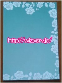 wiz_book