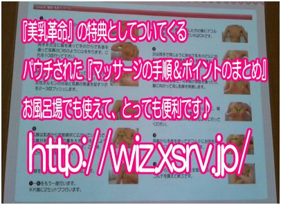 wiz_pauchi